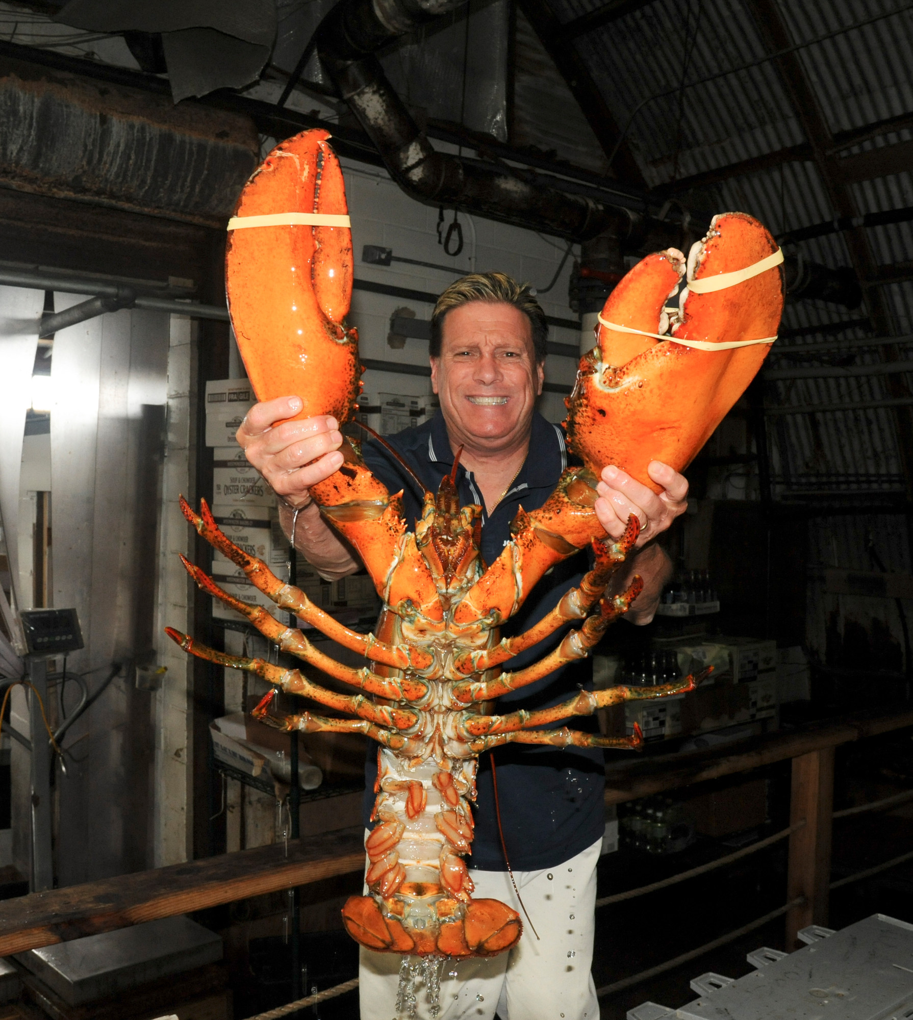 biggest lobster ever caught