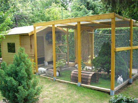 outdoor bunny enclosure