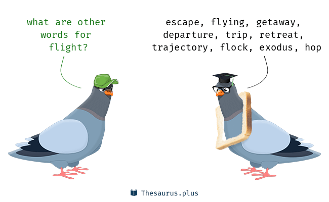 another word for flight