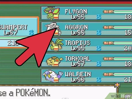 best pokemon team in emerald