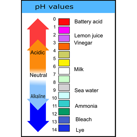 in she the ph of the acid solution should be