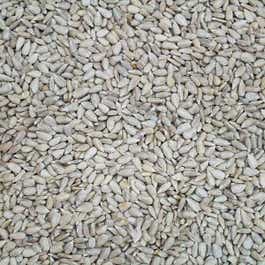 cheapest sunflower hearts for birds