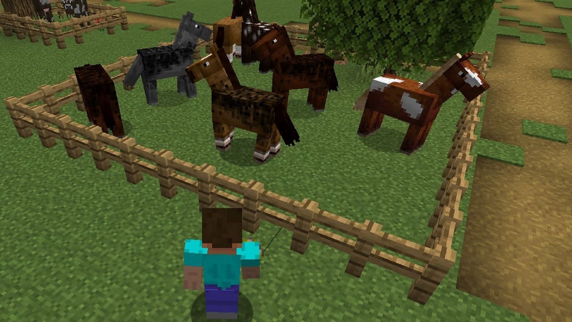 what does minecraft horses eat