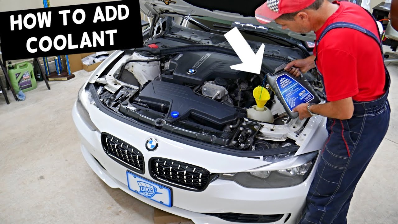 antifreeze bmw 328i