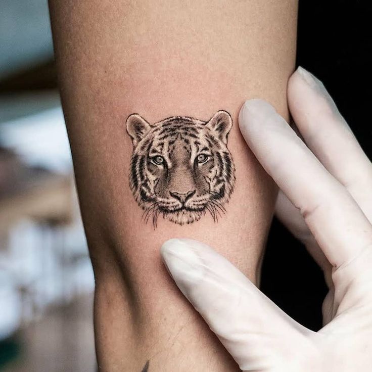 tattoo tigre minimalista