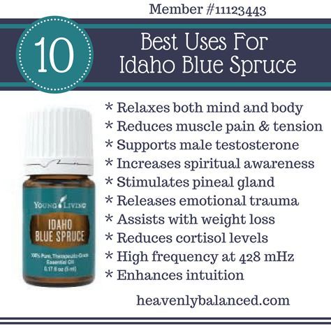 blue spruce essential oil benefits