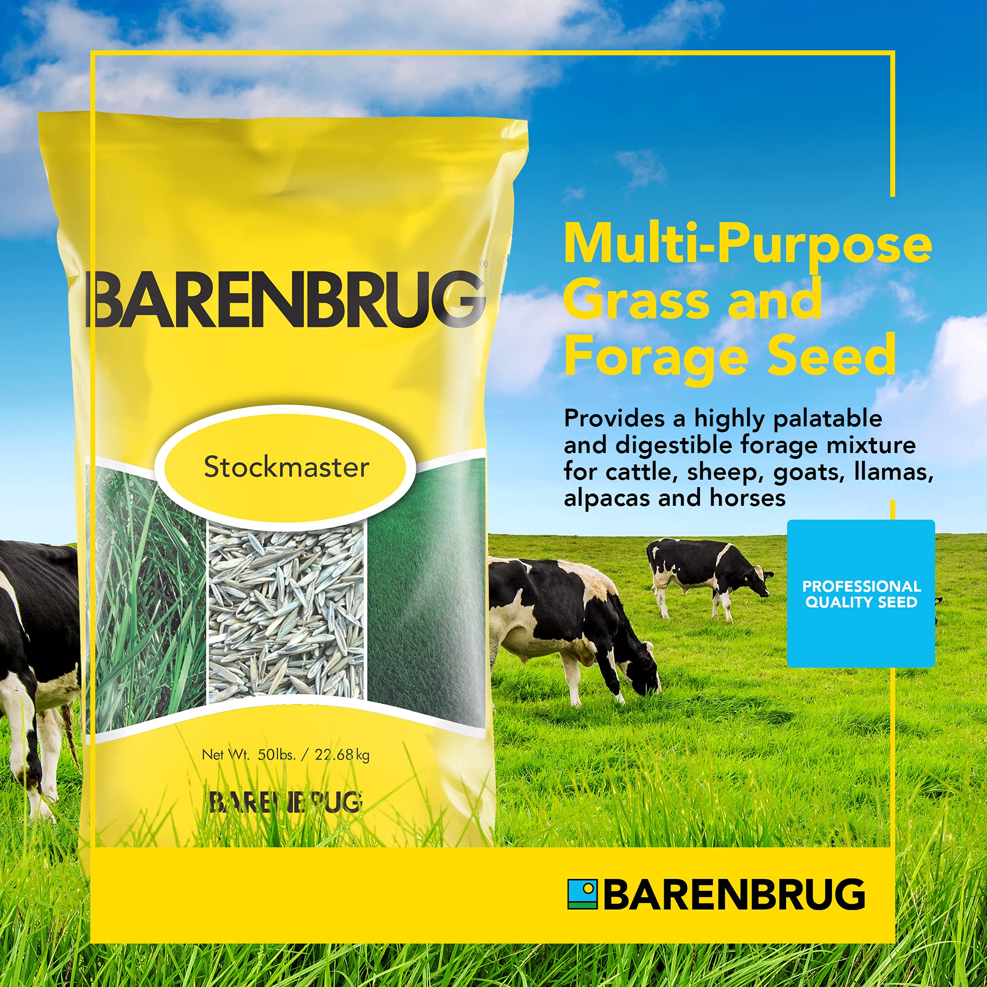 barenbrug seeds