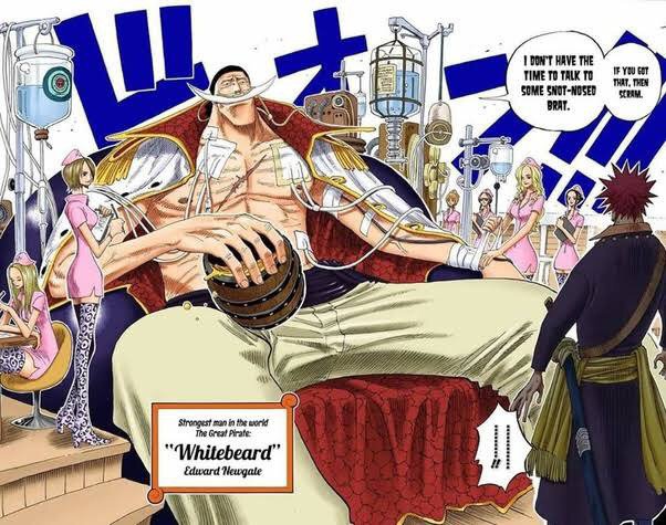 whitebeard first appearance