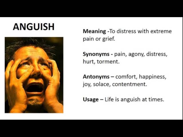 anguish antonym