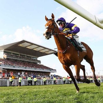 the telegraph horse race