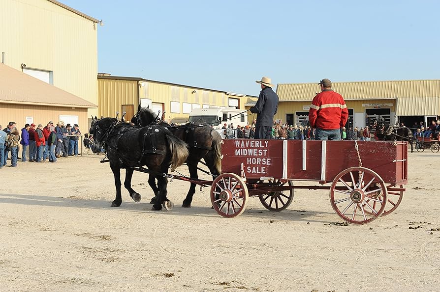 waverly iowa horse sale