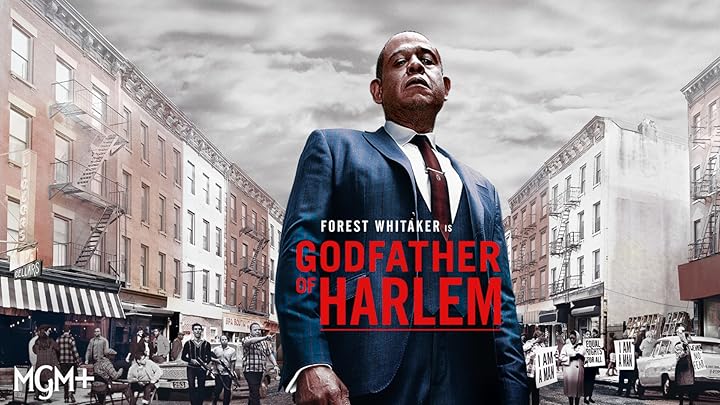 godfather of harlem imdb