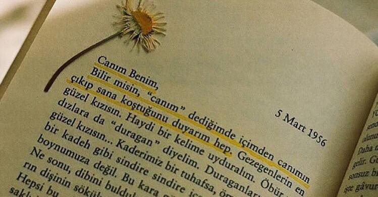 sana her canım dediğimde