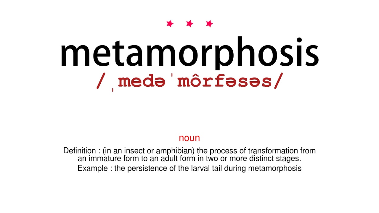 how to pronounce metamorphosis