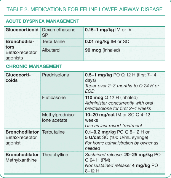 azithromycin for cats dosage chart