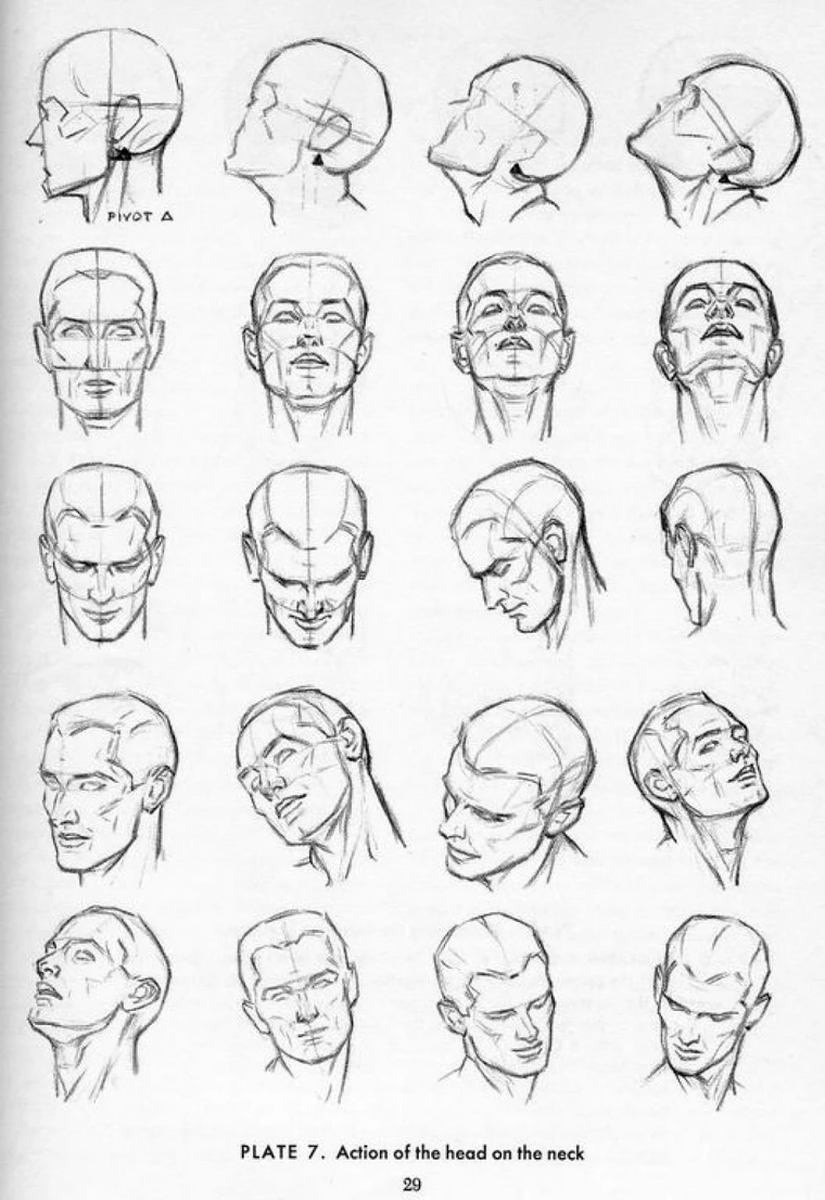 face draw reference