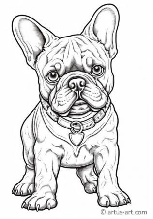 french bulldog coloring sheets