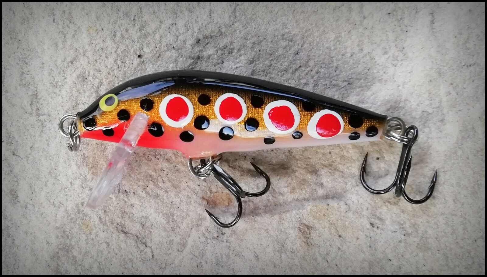 rapala spotted dog