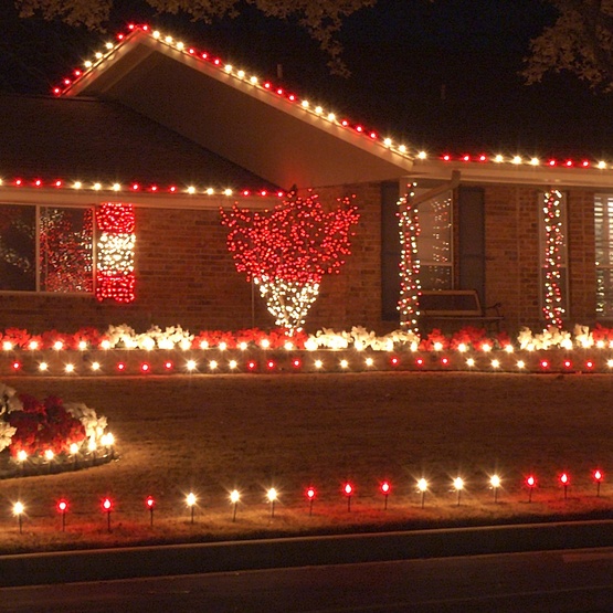 red and white holiday lights