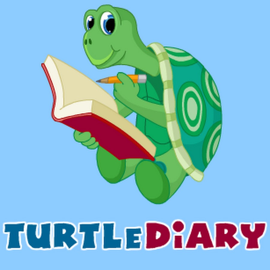 turtle diary