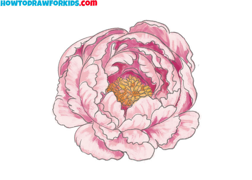 peony drawing