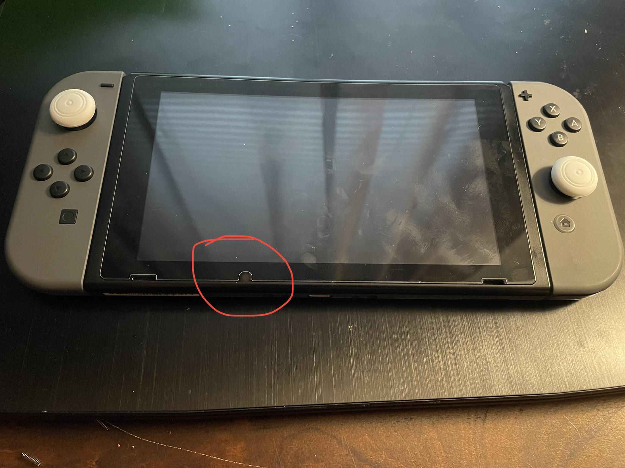 nintendo switch camera