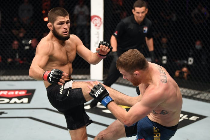 khabib ufc next fight