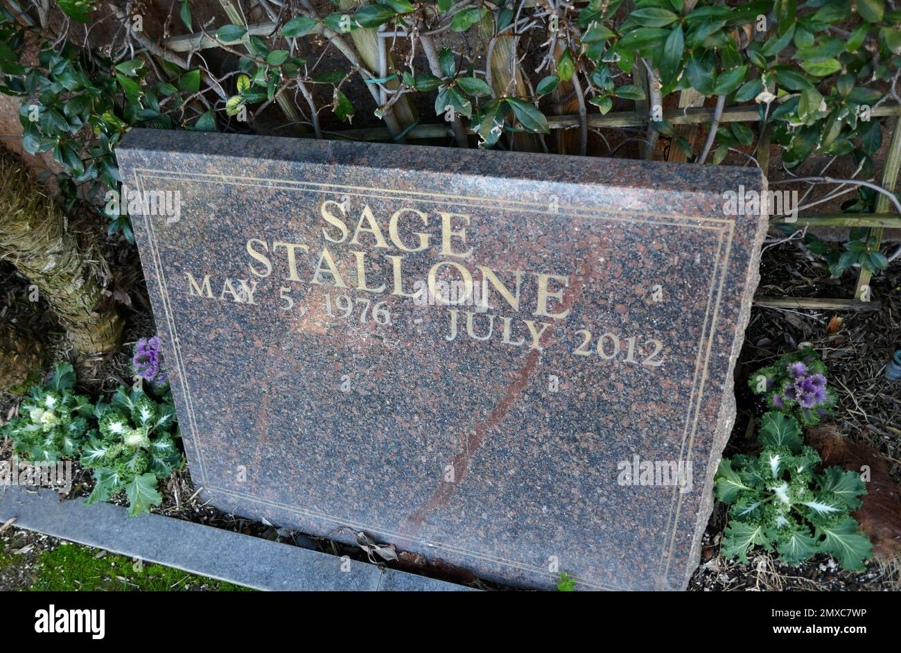 sage stallone find a grave