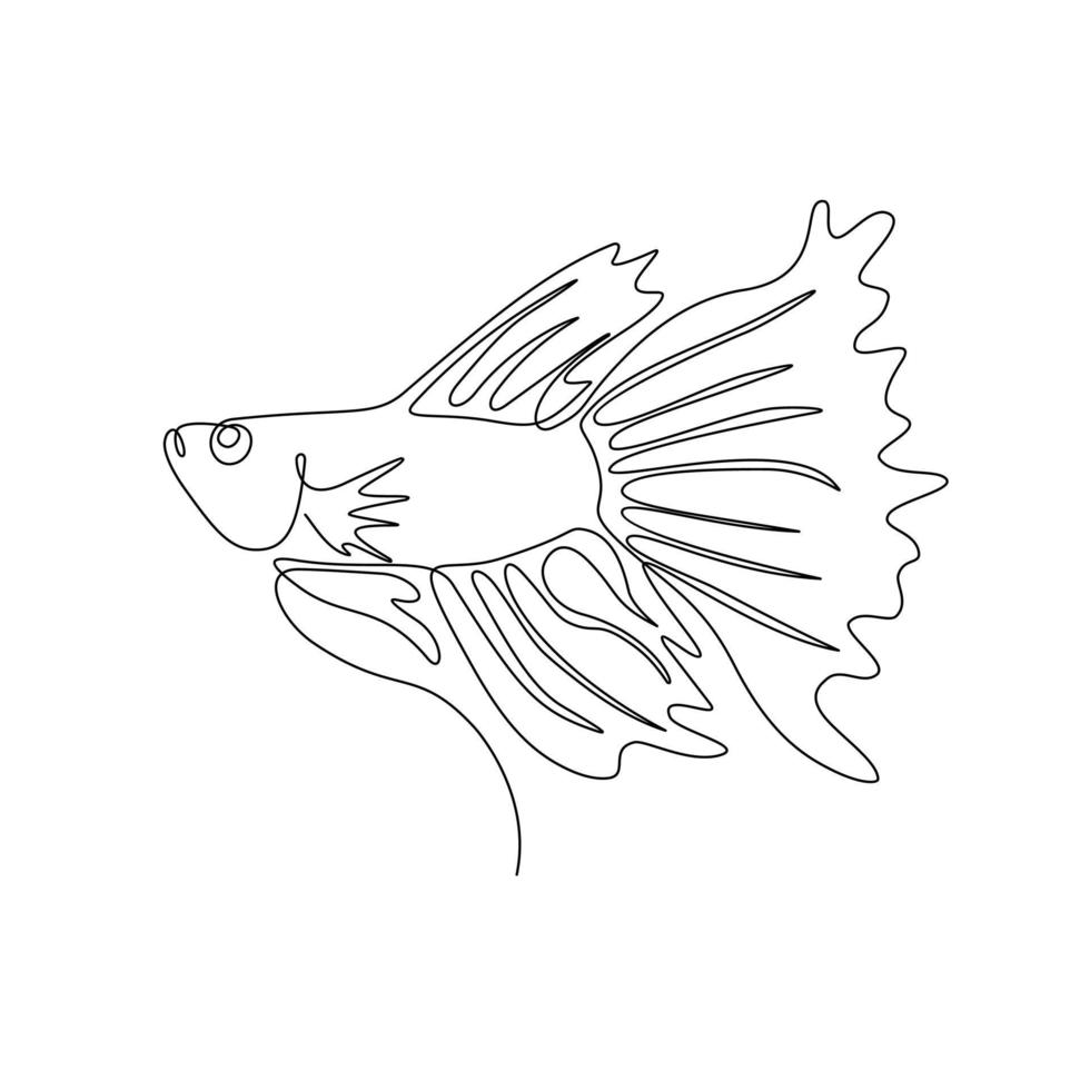 drawing of a betta fish