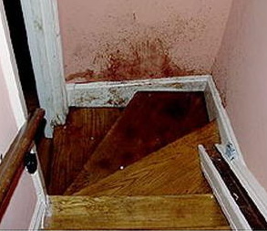 the staircase autopsy photos