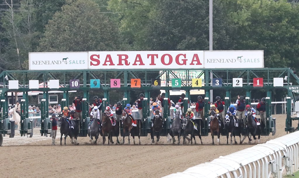 saratoga results