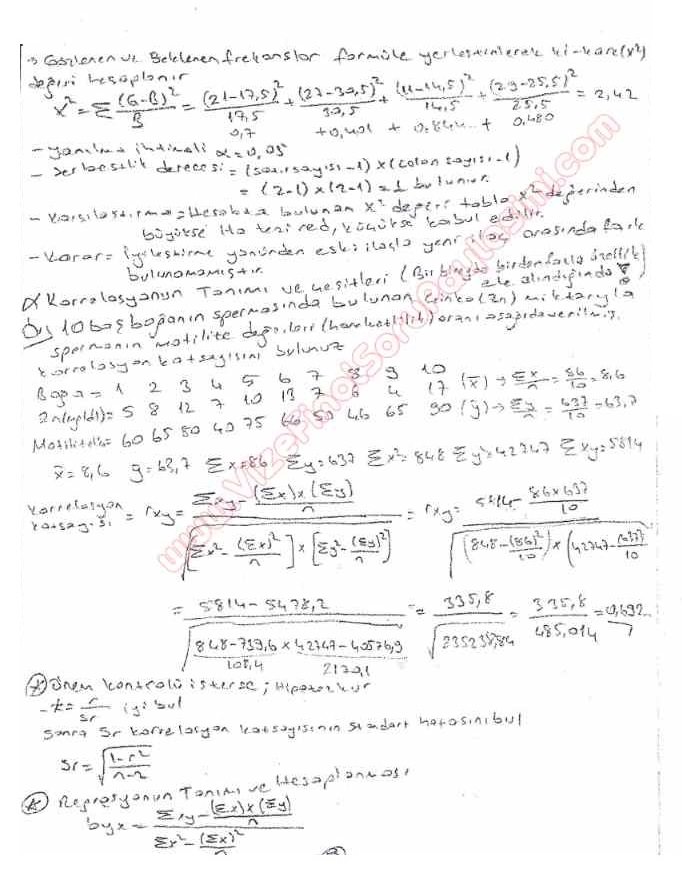 biyoistatistik vize soruları ve cevapları