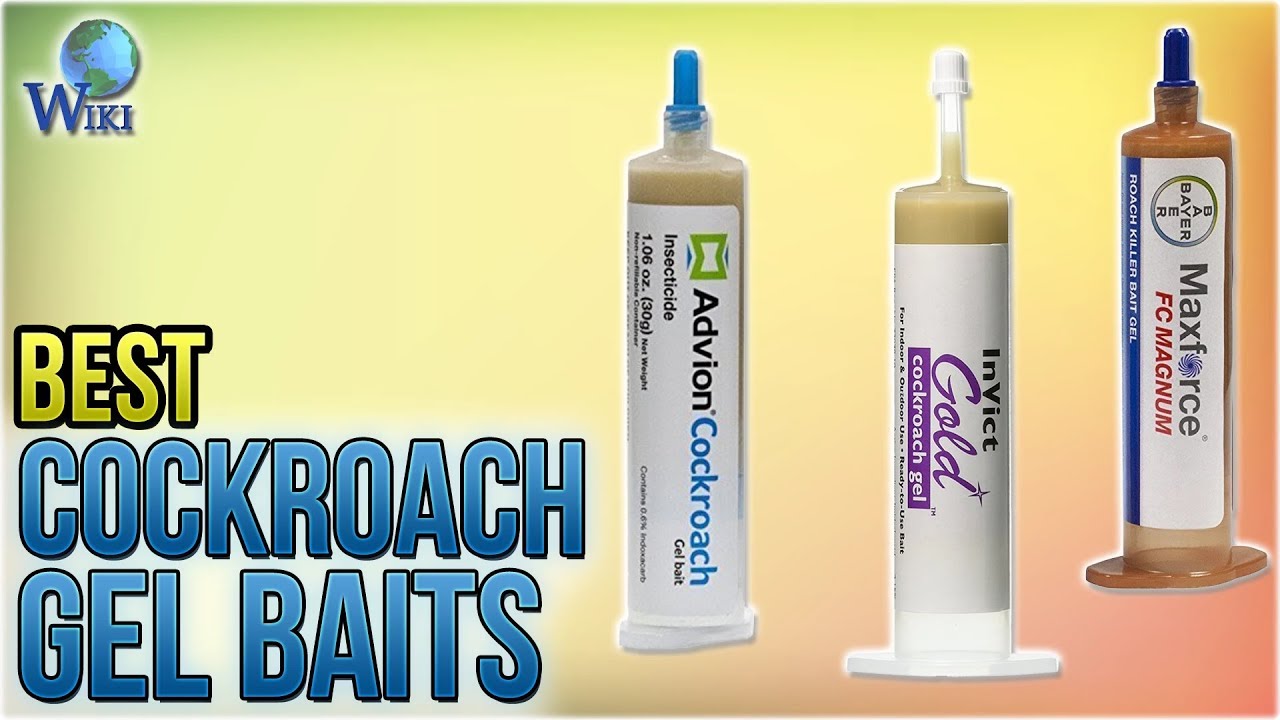 roach bait gel