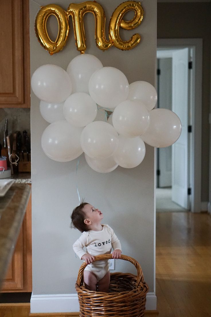 birthday decorations for 1 year old boy