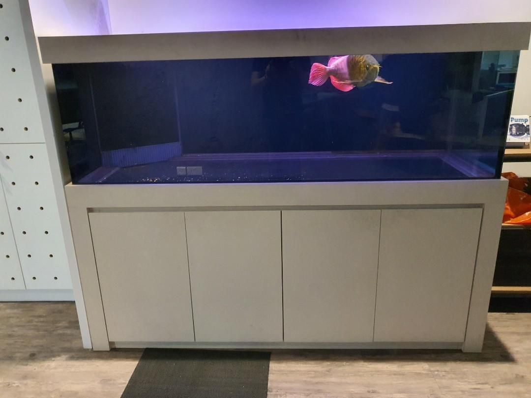 6ft fish tank aquarium