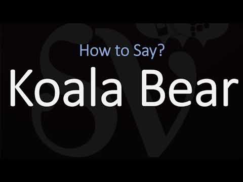 koala pronunciation