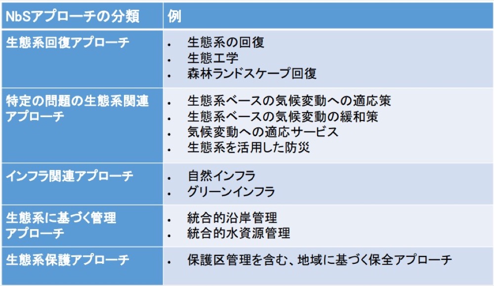 nature of business 意味