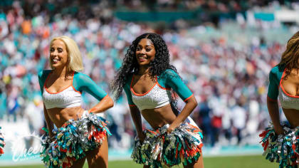 dolphins cheerleaders