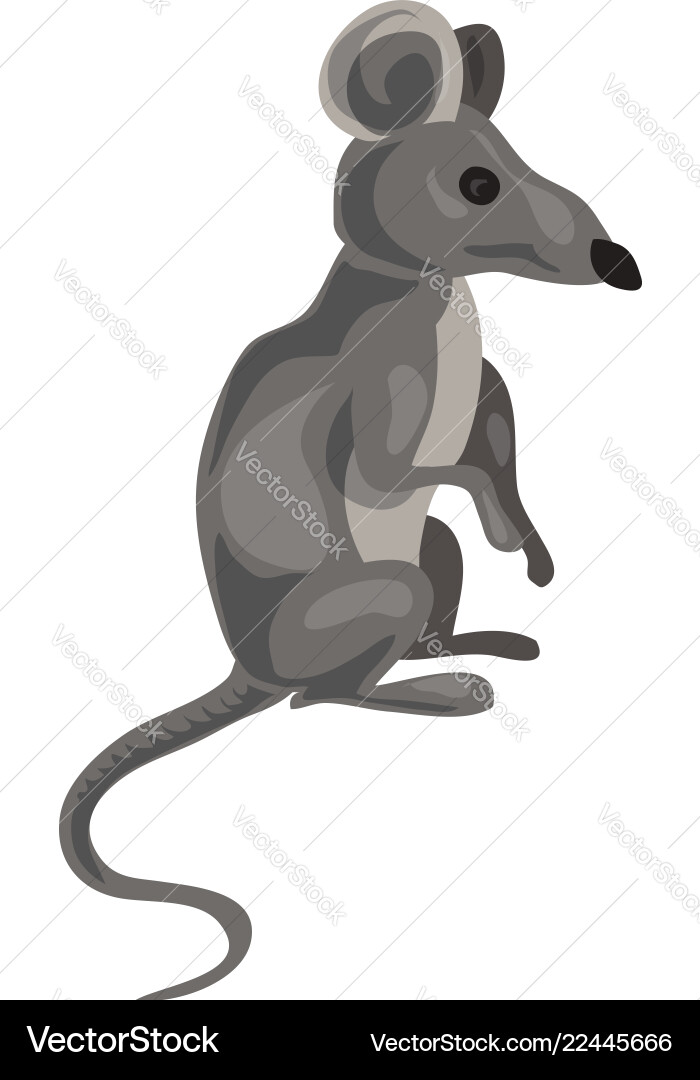 grey mouse cartoon