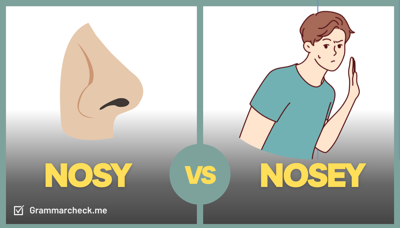 nosy definition