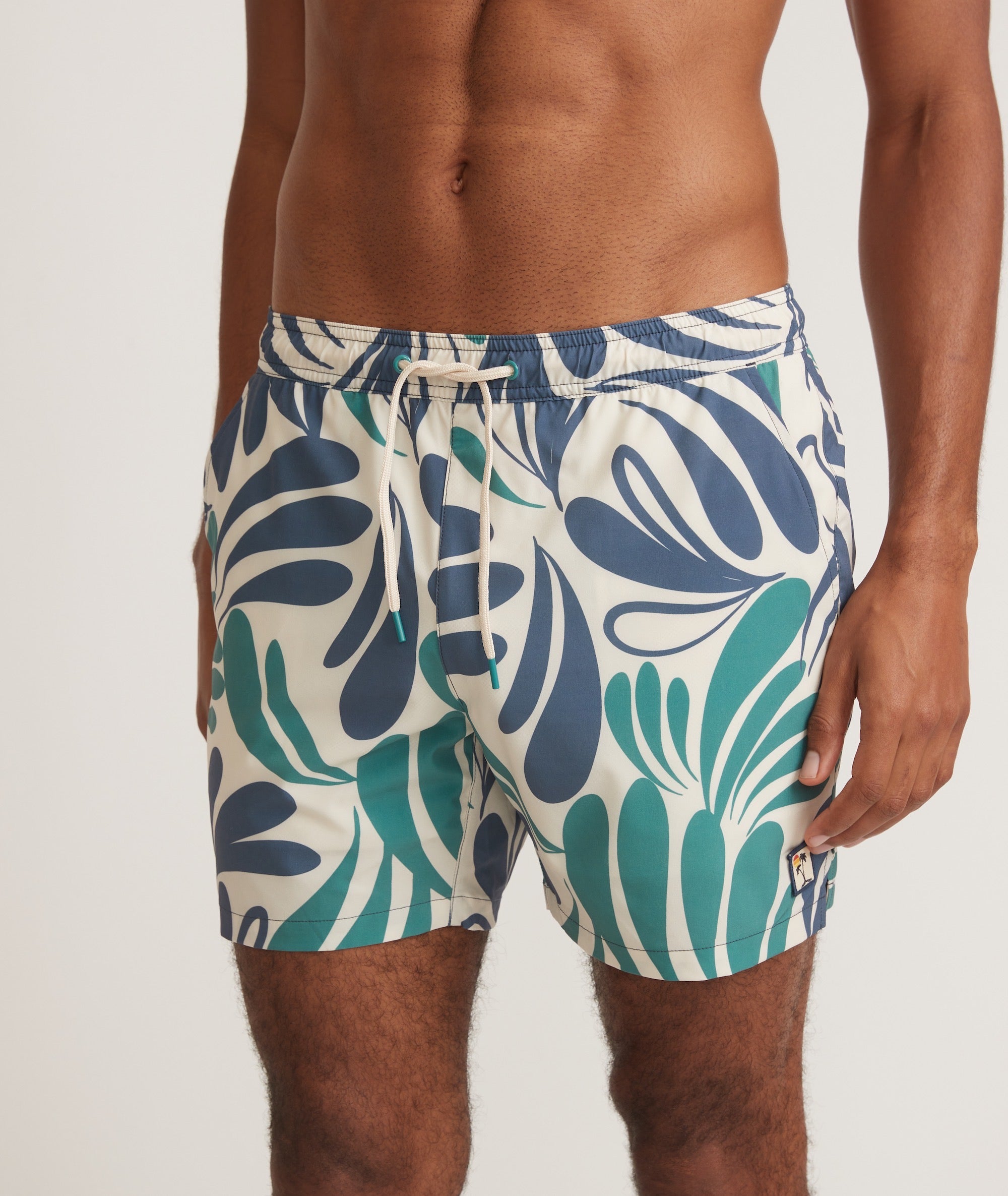 stretch swim trunks