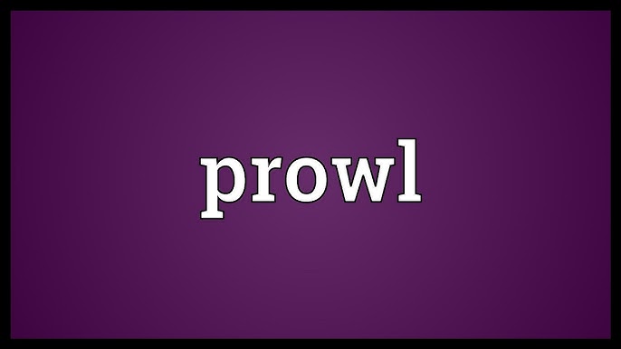 define prowl