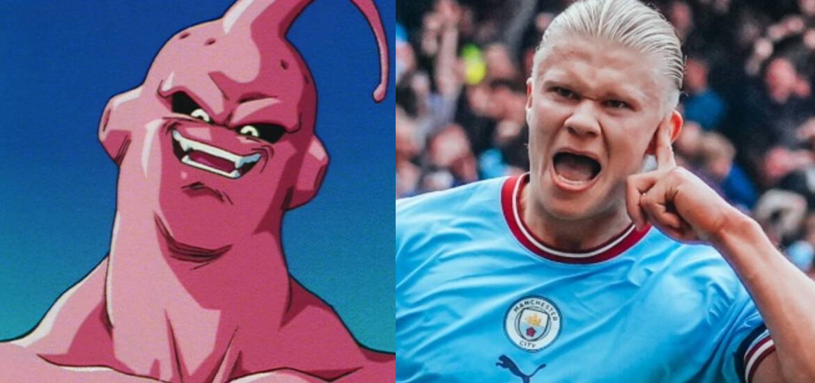 erling haaland majin buu