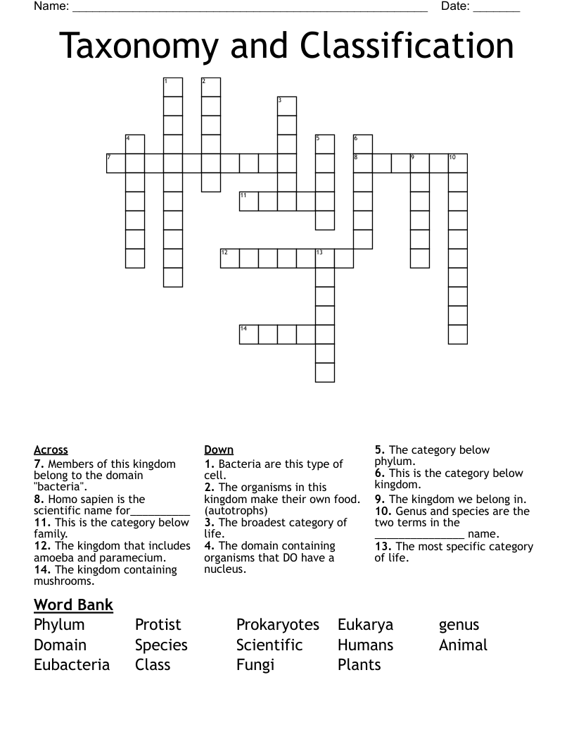 taxonomic category crossword