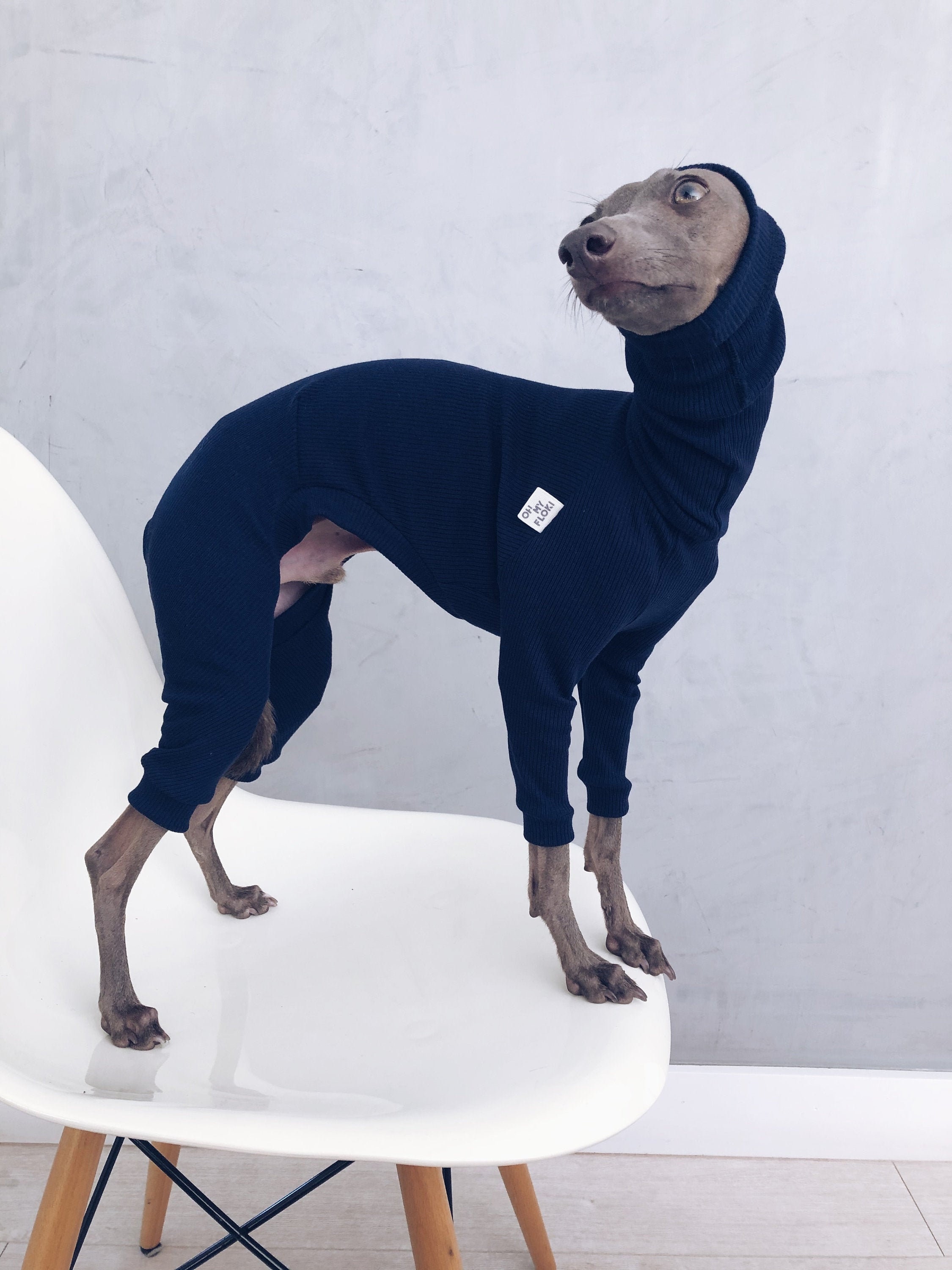 whippet apparel