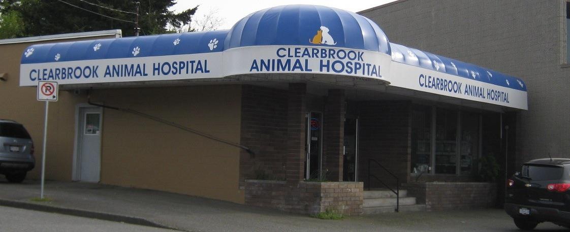 clearbrook animal hospital