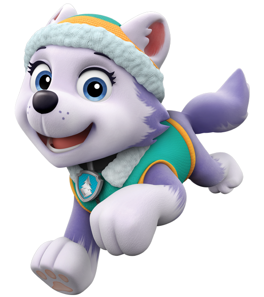 everest from paw patrol