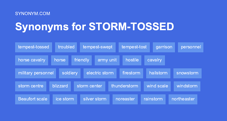 another word for storm