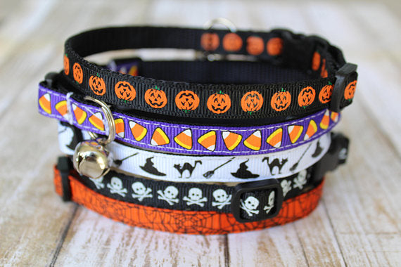 halloween cat collar