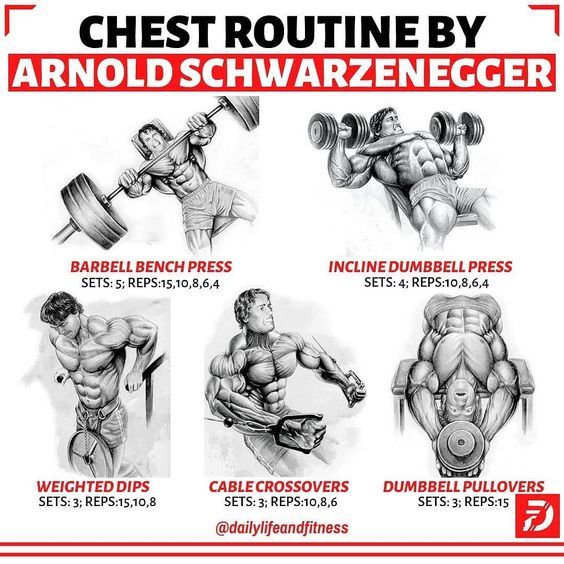 arnold chest exercise